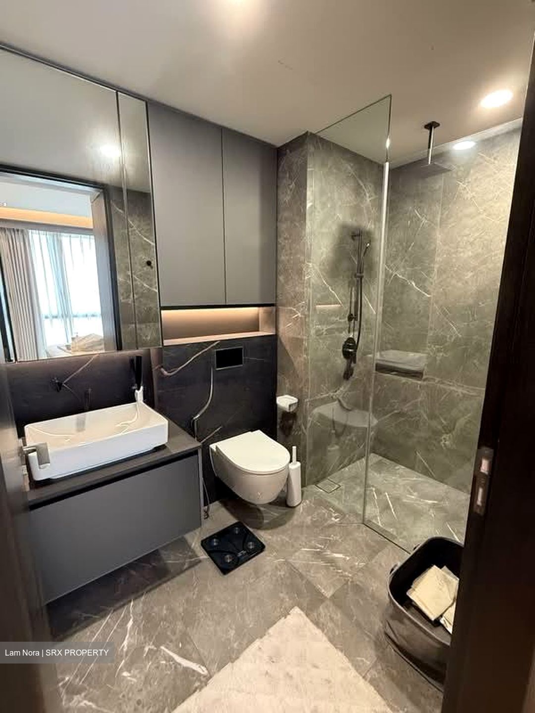 Irwell Hill Residences (D9), Apartment #604325281